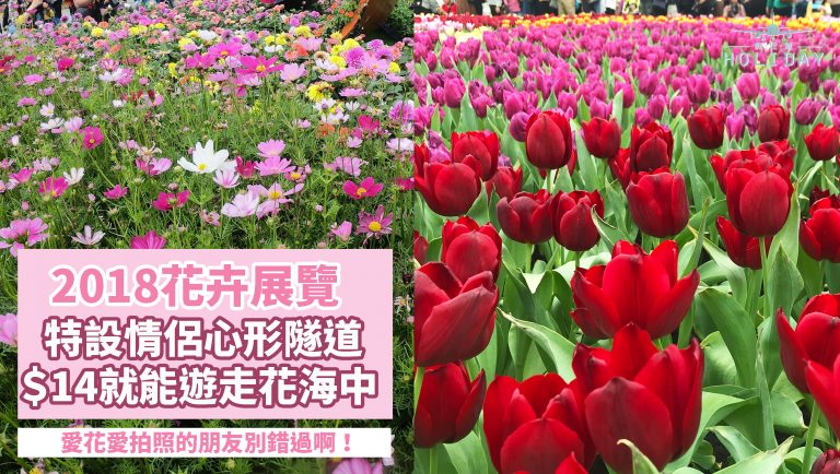 香港花卉展覽2018~直擊香港花展打卡位，少女心爆發泡泡花園，隨手一拍都是美照！