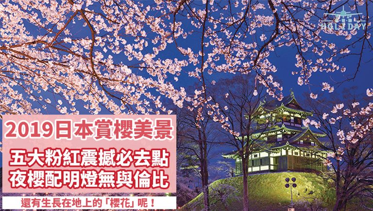 2019日本觀賞櫻花必去地，經歷粉紅的震撼！除了白天，夜間賞櫻，浪漫程度更上一層樓！