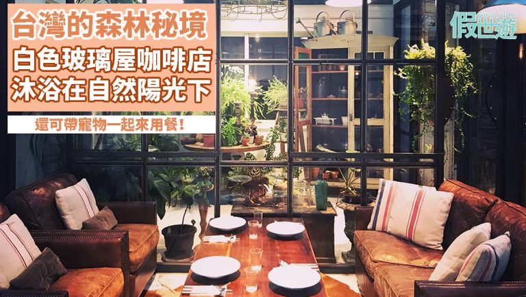 台灣陽明山的森林秘境 — 好樣秘境 VVG hideaway｜林中的白色玻璃屋Cafe，沐浴在陽光裏，享受森林仙境的氣氛，還可帶寵物一起來用餐！