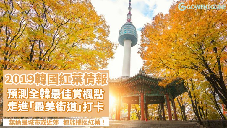2019韓國紅葉最新情報！！預測全韓最佳賞楓景點，首爾市、近郊、濟州島……全都能捕捉紅葉的踪影，超壯麗呢！