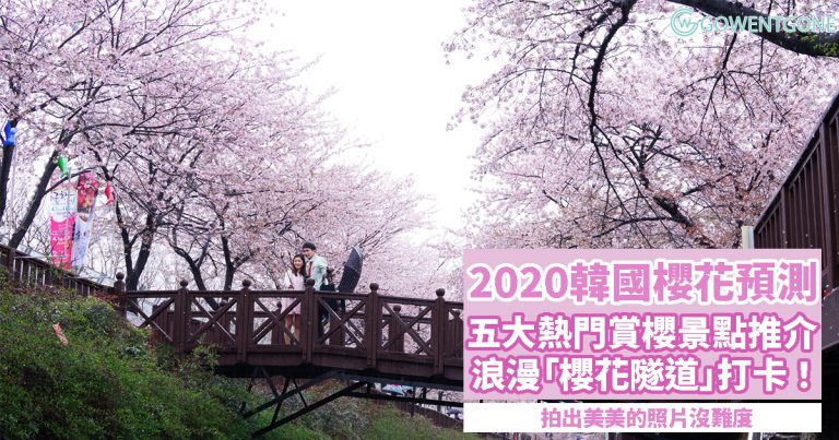 2020韓國櫻花預測〡五大首爾、釜山熱門賞櫻景點，浪漫「櫻花隧道」，拍出美美的照片！