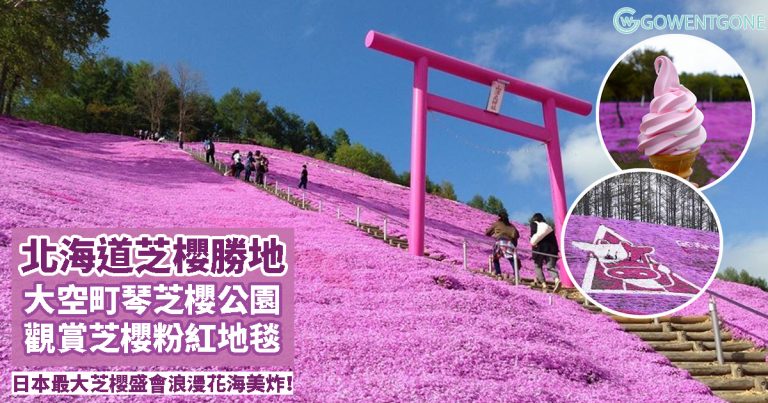 日本除了櫻花，還有這種花！北海道「東藻琴芝櫻祭」日本國內最大規模芝櫻盛會，紅、白及粉紅芝櫻交織綻放，燦爛的煙火盛會，浪漫花海美炸了！