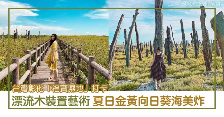 台灣不止有高美濕地！彰化「福寶濕地」三大亮點，漂流木裝置藝術及遍地向日葵，真的美到適合拍電影~