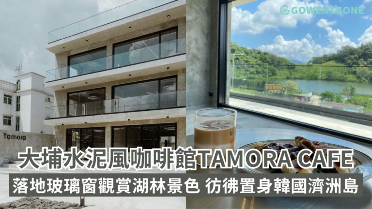 大埔新去處！ 水泥風格咖啡館Tamora cafe，落地大玻璃觀賞湖林景色，彷彿置身韓國濟洲島，打卡一流！