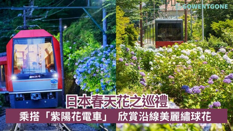 日本春天花之巡禮！乘搭「紫陽花電車」，欣賞沿線美麗繡球花，內文附上的最佳賞花期！
